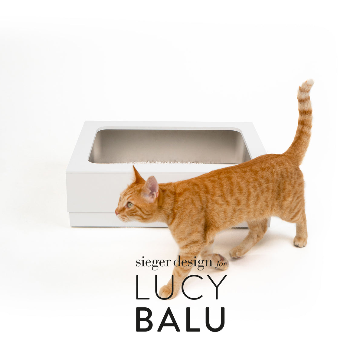 Sieger-Deisgn-for-LucyBalu-Looloo.jpg__PID:9d86ca70-4e5e-4a2d-b49e-fb83367571ca