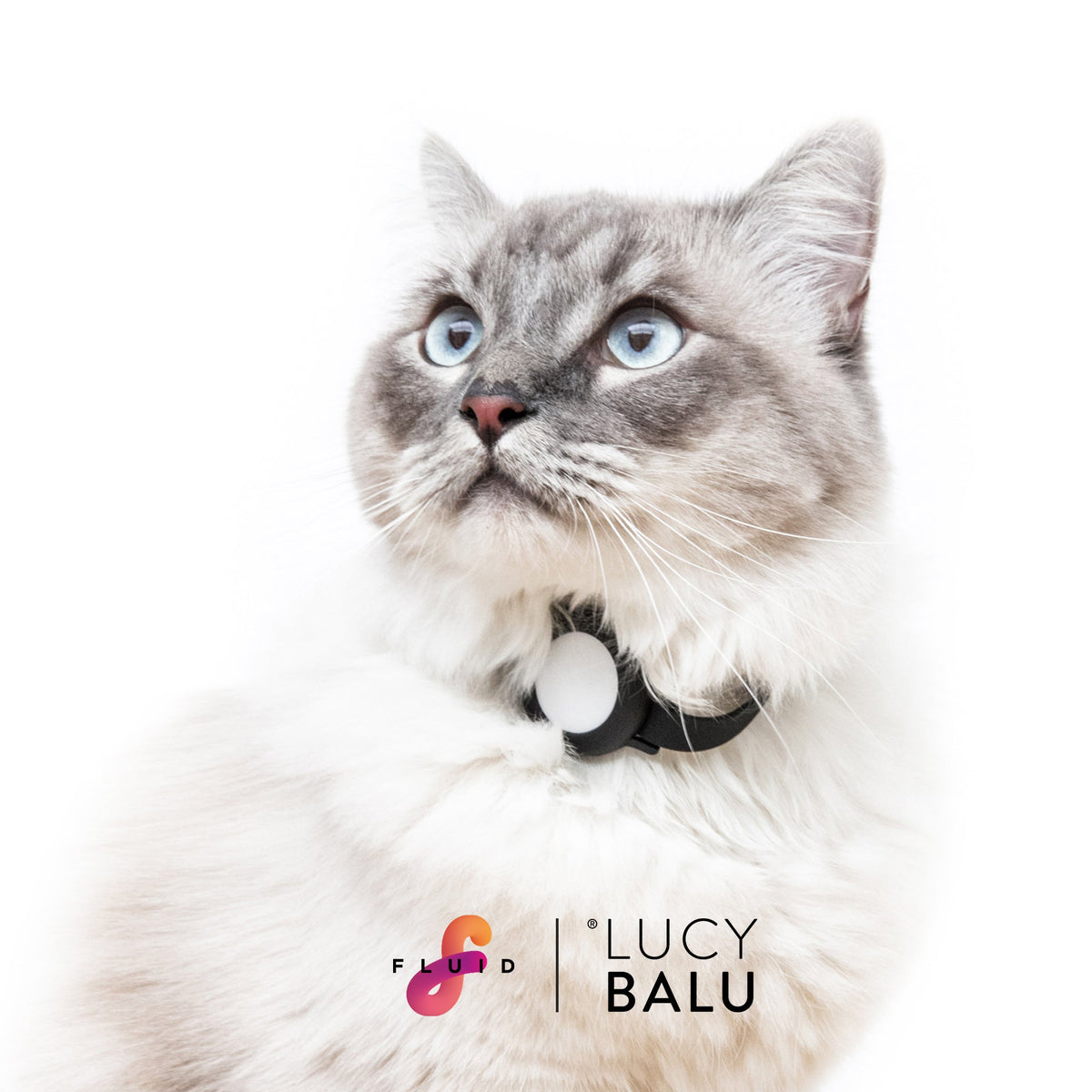 LucyBalu x Fluid AirTag